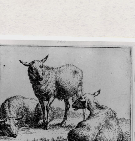 Rückseite von  [http://creativecommons.org/publicdomain/mark/1.0/] ... - , bh293368. Foto.