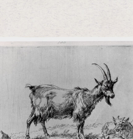 Rückseite von  [http://creativecommons.org/publicdomain/mark/1.0/] ... - , bh293370. Foto.