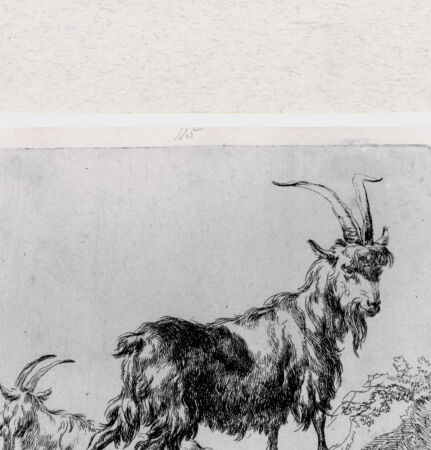 Rückseite von  [http://creativecommons.org/publicdomain/mark/1.0/] ... - , bh293372. Foto.