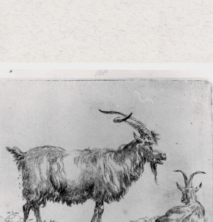 Rückseite von  [http://creativecommons.org/publicdomain/mark/1.0/] ... - , bh293374. Foto.