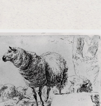 Rückseite von  [http://creativecommons.org/publicdomain/mark/1.0/] ... - , bh293375. Foto.