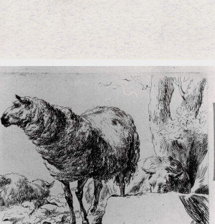 Rückseite von  [http://creativecommons.org/publicdomain/mark/1.0/] ... - , bh293376. Foto.