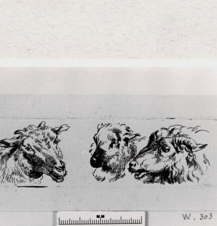 Rückseite von  [http://creativecommons.org/publicdomain/mark/1.0/] ... - , bh293381. Foto.