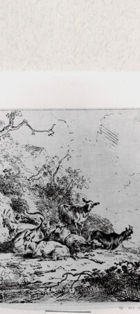 Rückseite von  [http://creativecommons.org/publicdomain/mark/1.0/] ... - , bh293382. Foto.