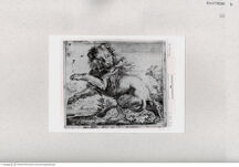 Thumbnail für 66-B-V-p-317-320