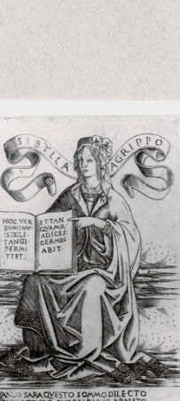 Rückseite von  [http://creativecommons.org/publicdomain/mark/1.0/] ... - , bh293818. Foto.