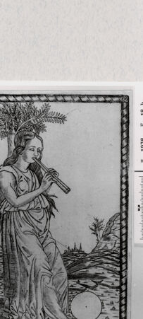 Rückseite von  [http://creativecommons.org/publicdomain/mark/1.0/] ... - , bh293851. Foto.