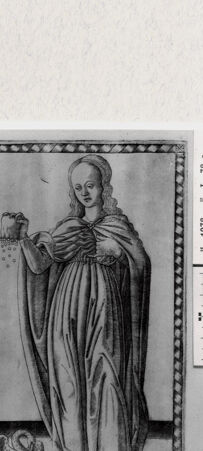 Rückseite von  [http://creativecommons.org/publicdomain/mark/1.0/] ... - , bh293878. Foto.