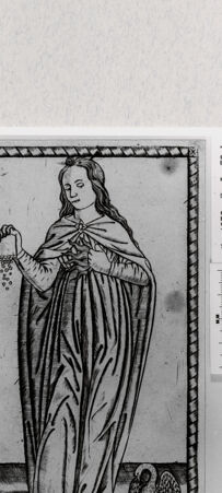 Rückseite von  [http://creativecommons.org/publicdomain/mark/1.0/] ... - , bh293879. Foto.