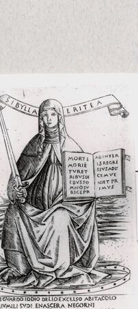 Rückseite von  [http://creativecommons.org/publicdomain/mark/1.0/] ... - , bh293890. Foto.