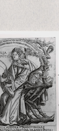 Rückseite von  [http://creativecommons.org/publicdomain/mark/1.0/] ... - , bh293900. Foto.