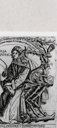 Rückseite von  [http://creativecommons.org/publicdomain/mark/1.0/] ... - , bh293901. Foto.