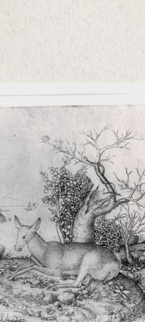 Rückseite von  [http://creativecommons.org/publicdomain/mark/1.0/] ... - , bh293937. Foto.