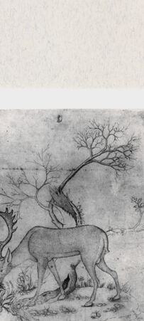 Rückseite von  [http://creativecommons.org/publicdomain/mark/1.0/] ... - , bh293938. Foto.