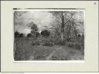 Thumbnail des 9. Ordners