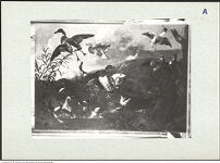 Thumbnail des 13. Ordners