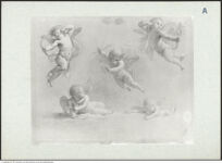 Thumbnail des 11. Ordners