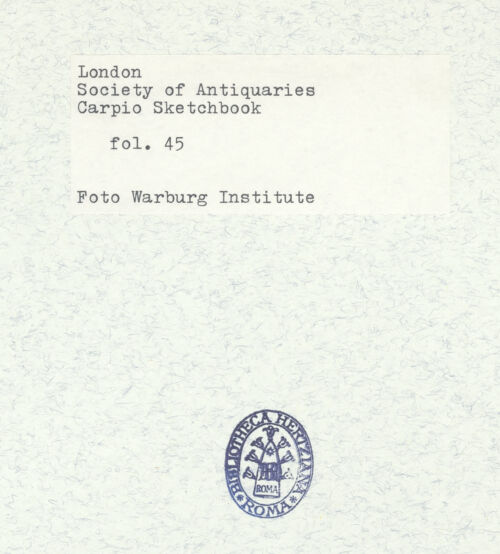 Rückseite von Warburg Institute [https://www.deutsche-digitale-bibliothek.de/content/lizenzen/rv-ez/] Album CarpioPorträtbüste aus Marmor - , bh306143_recto. Foto.