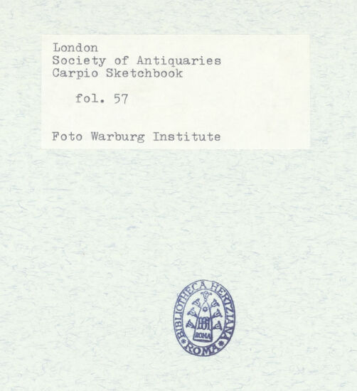 Rückseite von Warburg Institute [https://www.deutsche-digitale-bibliothek.de/content/lizenzen/rv-ez/] Album CarpioPorträtbüste aus Marmor - , bh306155_recto. Foto.