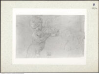 Thumbnail des fünften Ordners