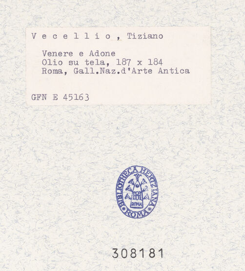 Rückseite von bh308181_recto