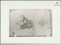 Thumbnail des fünften Ordners