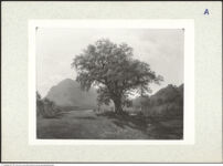 Thumbnail des 17. Ordners