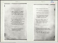 Thumbnail des vierten Ordners