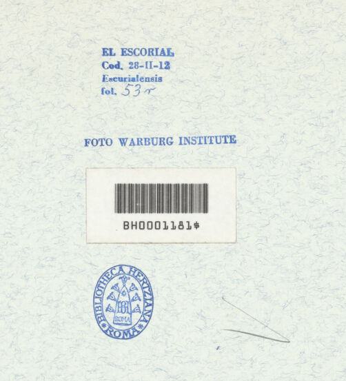 Rückseite von Warburg Institute [https://www.deutsche-digitale-bibliothek.de/content/lizenzen/rv-ez/] Codex EscurialensisDer bellvederische Apollon - , bh315462_recto. Foto.