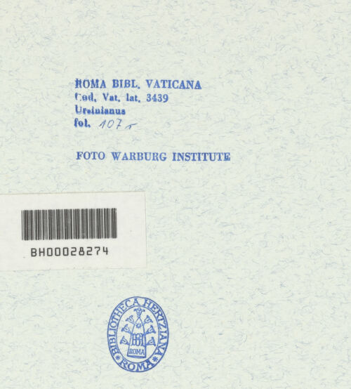 Rückseite von bh315539_recto