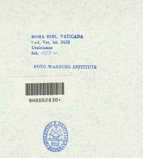 Rückseite von bh315544_recto