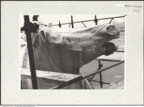 Thumbnail des ersten Ordners