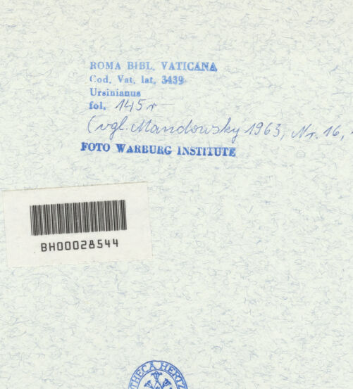 Rückseite von bh316748_recto