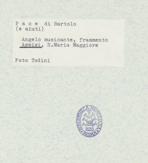 Rückseite von bh317493_recto