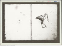 Thumbnail des fünften Ordners