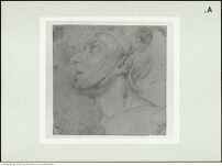 Thumbnail des 7. Ordners