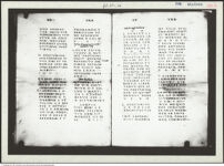 Thumbnail des vierten Ordners