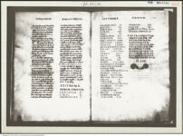 Thumbnail des zweiten Ordners