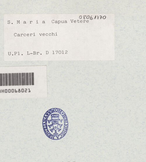 Rückseite von Bibliotheca Hertziana [https://www.deutsche-digitale-bibliothek.de/content/lizenzen/rv-fz/] Carceri Vecchie - Teilansicht, bh334055_recto. Foto: Lehmann-Brockhaus, Otto.