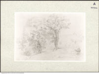 Thumbnail des 7. Ordners