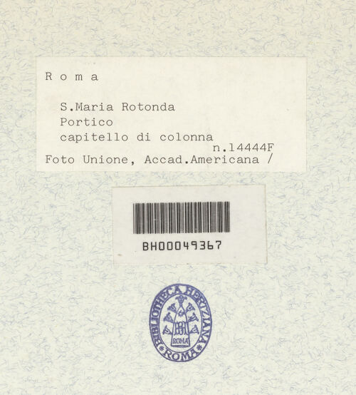 Rückseite von bh337334_recto