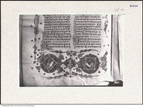 Thumbnail des fünften Ordners