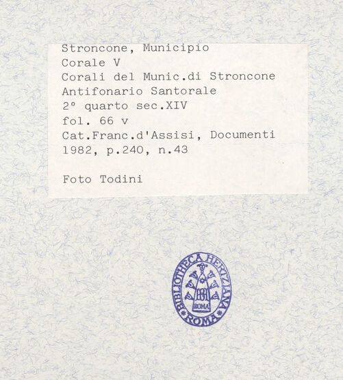 Rückseite von bh338874_recto