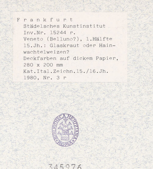 Rückseite von bh345976_recto