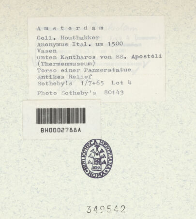 Rückseite von bh349542_recto