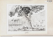 Thumbnail für B30 Principies pour apprendre a dessinder