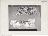 Thumbnail des 9. Ordners