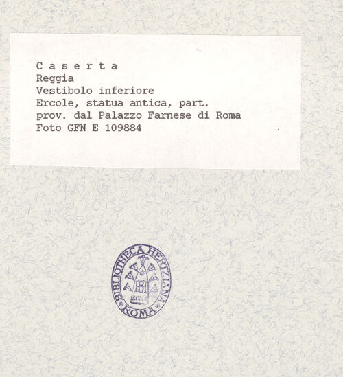 Rückseite von ICCD [https://www.deutsche-digitale-bibliothek.de/content/lizenzen/rv-ez/] Herkules - Kopf, Profil (von rechts), bh357376_recto. Foto.