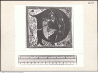 Thumbnail des 6. Ordners