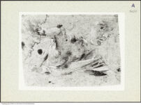 Thumbnail des 6. Ordners